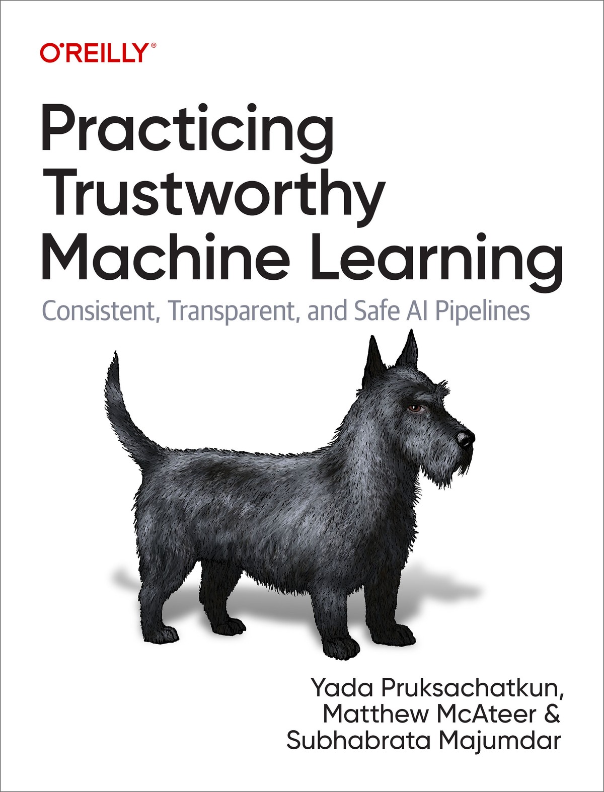 Practicing Trustworthy Machine Learning cover