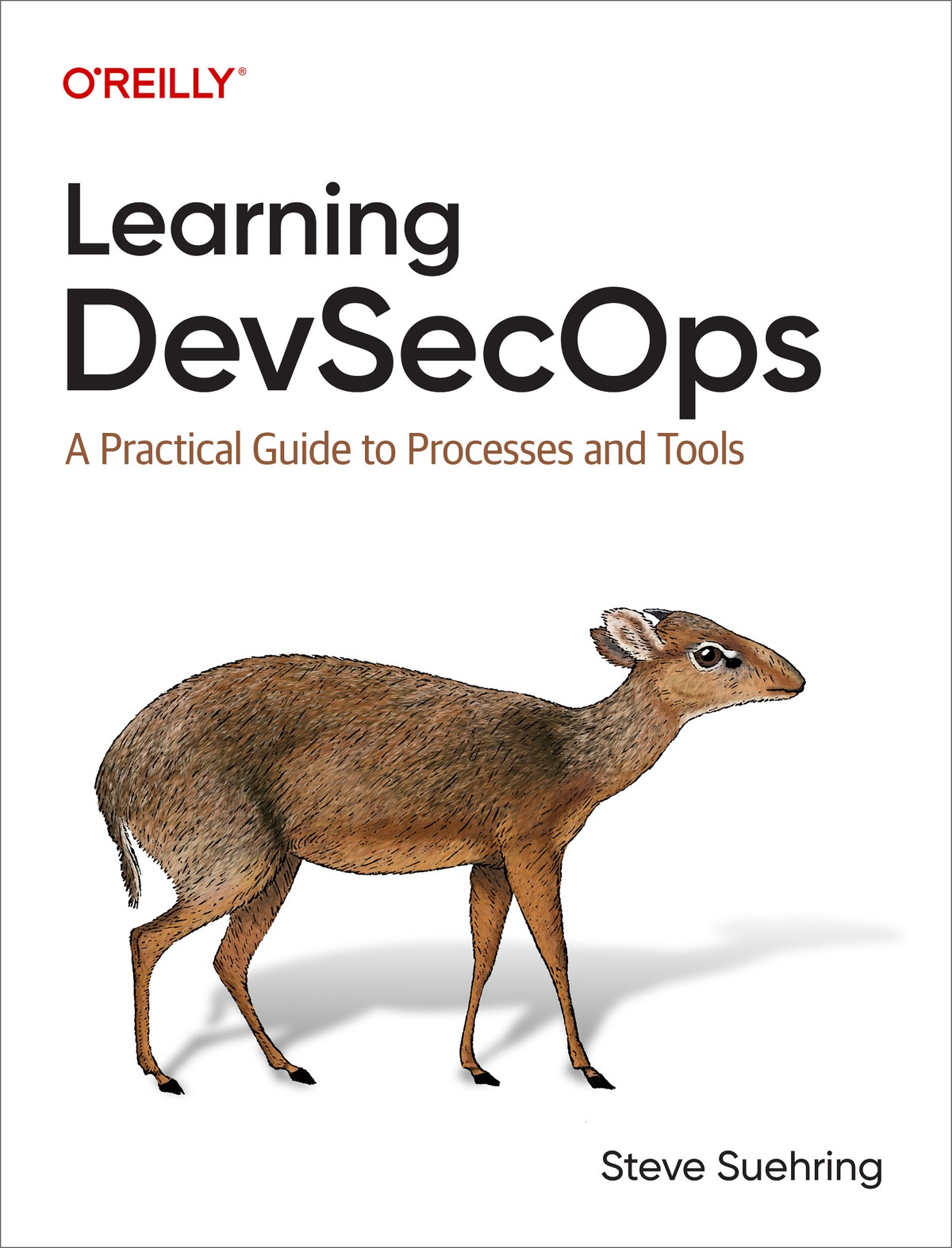 Learning DevSecOps cover