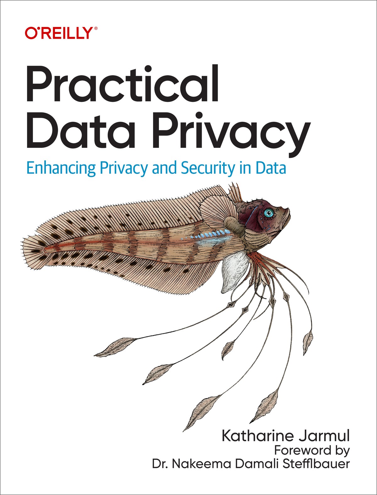 Practical Data Privacy cover